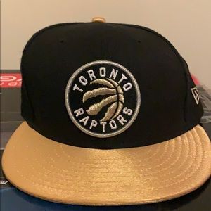 Toronto Raptors Fitted Cap